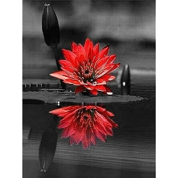 5D DIY Diamond Painting Kit Completo, Fiori rossi Strass Ricamo Punto Croce Pittura per Adulti Bambini, Paint by Numbers Pittura Diamante kit Perline, per Casa Parete Decor 80x100cm v-671